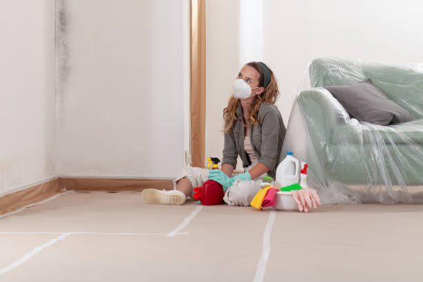 Reliable Mold Cleanup contractor in Needham Heights, MA by WQB Mold Removal